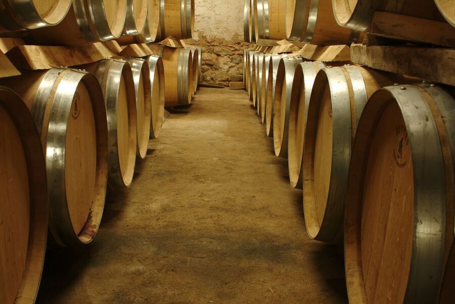 Bandol and Cassis: Full Day Wine Tour from Marseille - Key points to know