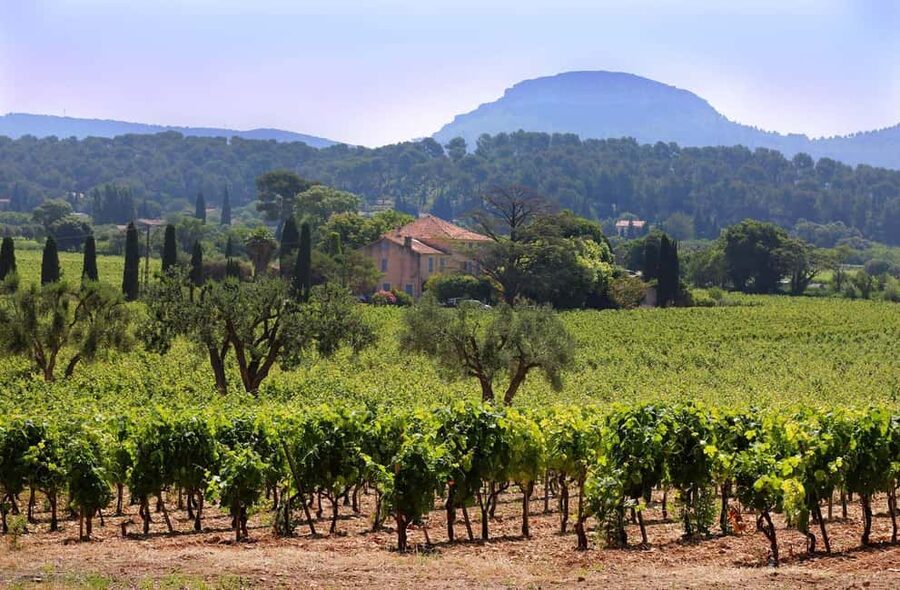 Bandol and Cassis: Full Day Wine Tour from Marseille - From Marseille to the vineyards of Cassis