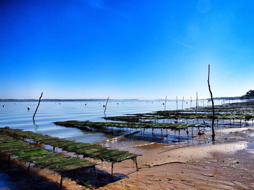 Bay of Arcachon: Guided Food Tour - A food walk with the Bassin at its center