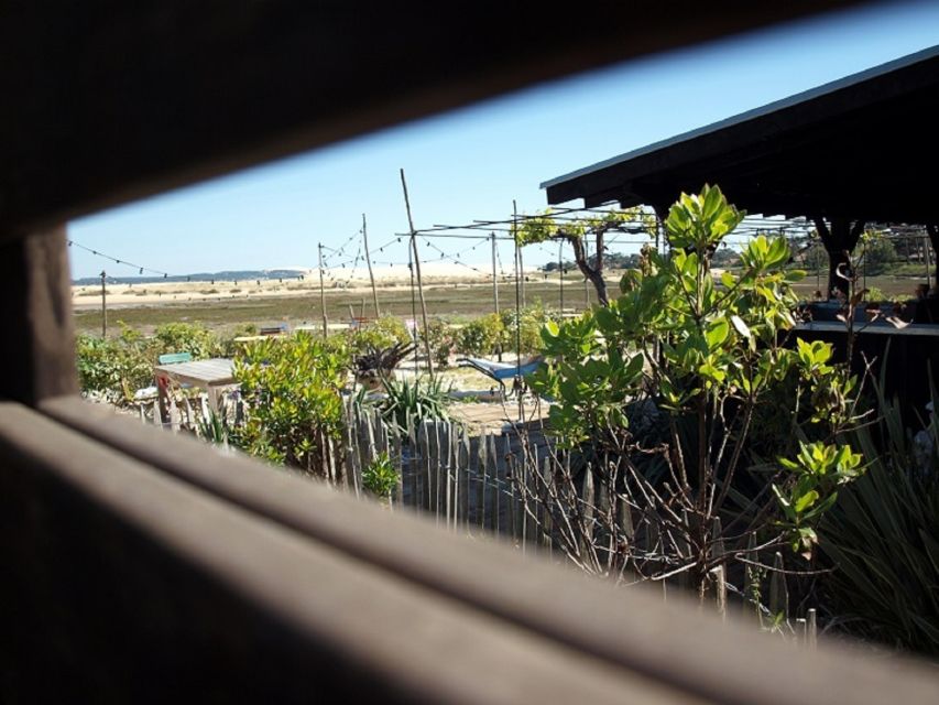 Bay of Arcachon: Guided Food Tour - What the $76 price includes