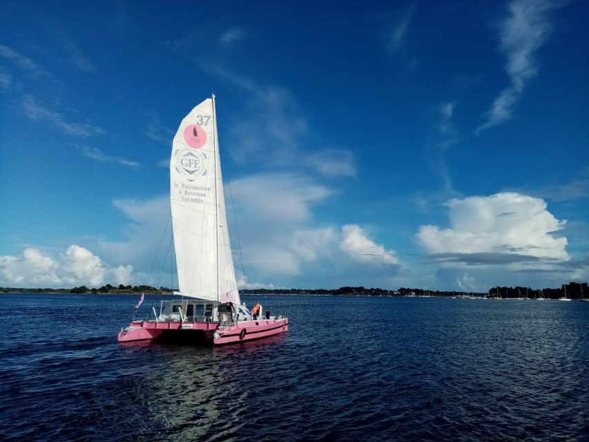 Bay of Quiberon or Morbihan gulf: Evening 2 hours navigation - Should you book this catamaran cruise?