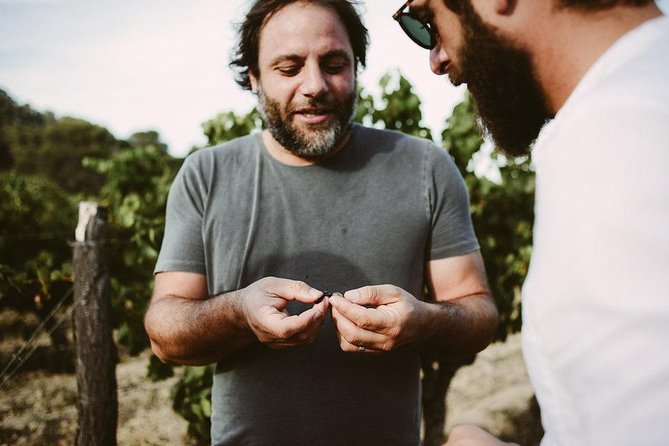 Bertrand Bosc wine and food tour in Pic St Loup - Key details at a glance