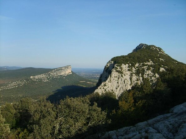 Bertrand Bosc wine and food tour in Pic St Loup - Why Pic Saint-Loup makes a good wine day from Montpellier