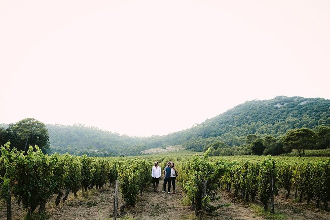 Bertrand Bosc wine and food tour in Pic St Loup - The countryside drive through Valflaunes