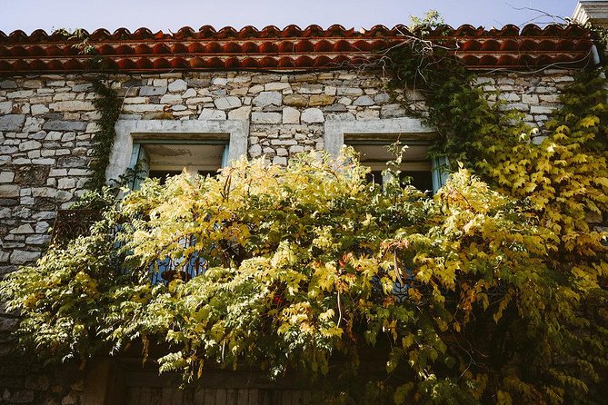 Bertrand Bosc wine and food tour in Pic St Loup - What the $95.58 price really includes