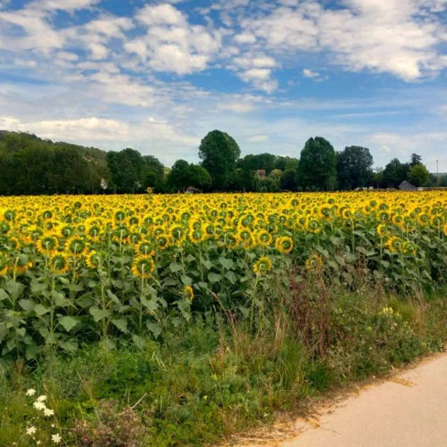 Bike tour from Vernon to Giverny with local guide - How the timing really works