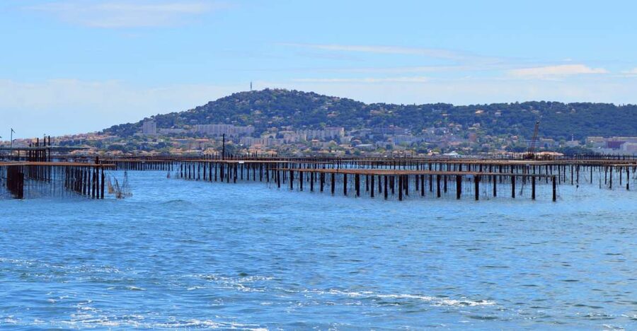 Boat trip in the canals is on the Thau pond - Why Sète is best seen from the water