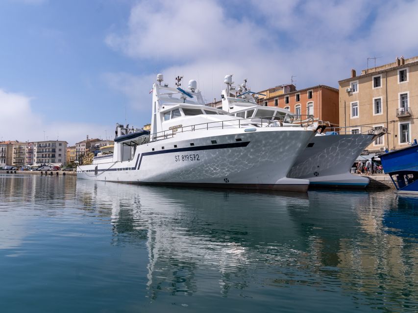 Boat walk in Sete on the singular island 1 hour - Why the small boat makes a difference