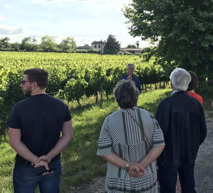 Bordeaux: Explore an Organic Family Vineyard with Tasting - Why this family vineyard feels different