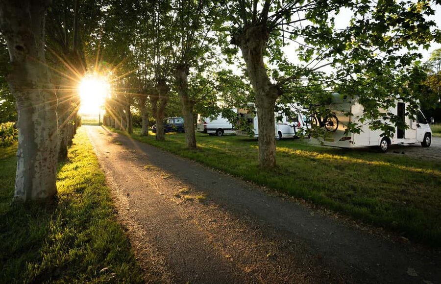 Bordeaux: Explore an Organic Family Vineyard with Tasting - Who will enjoy this visit most