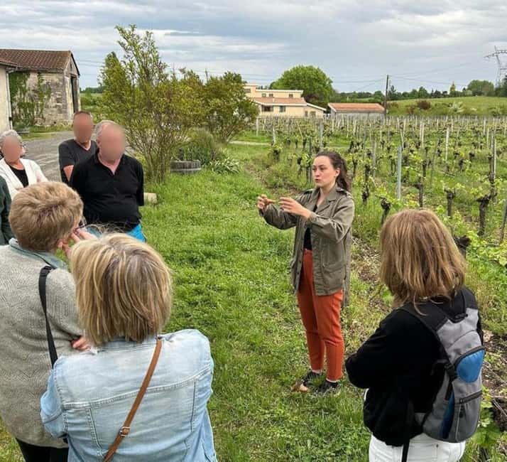 Bordeaux: Explore an Organic Family Vineyard with Tasting - Practical details that matter