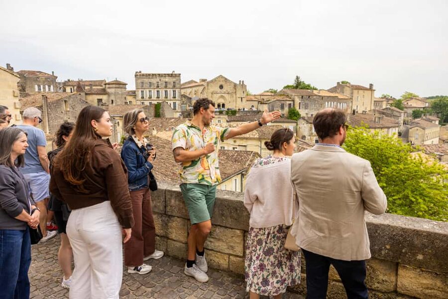 Bordeaux Full Day Wine Tour - 3 Wineries & Picnic Lunch - First stop: Graves or Pessac-Léognan wine