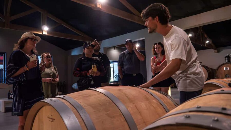 Bordeaux: Half-Day Margaux Tour with Wine Tastings - The first Margaux château and its vineyard lesson