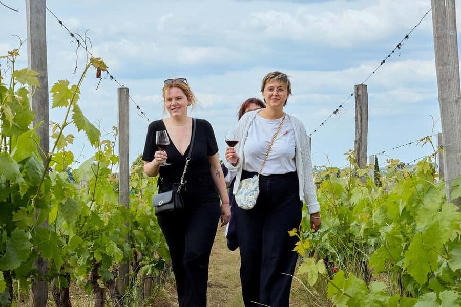 Bordeaux: Half-Day Margaux Tour with Wine Tastings - A fifth Grand Cru Classé and the second tasting
