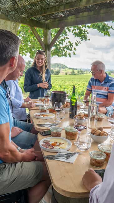 Bordeaux: Saint-Emilion and Medoc Full-Day Wine Experience - Key points at a glance