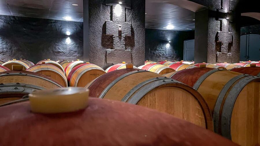 Bordeaux: Saint-Emilion and Medoc Full-Day Wine Experience - Why this tour works for Bordeaux wine beginners