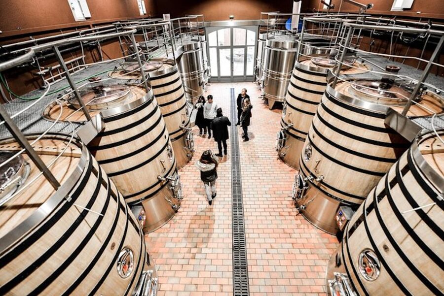 Bordeaux: St-Emilion and Medoc Wine Day Tour with Lunch - Why this Bordeaux tour covers more ground than most