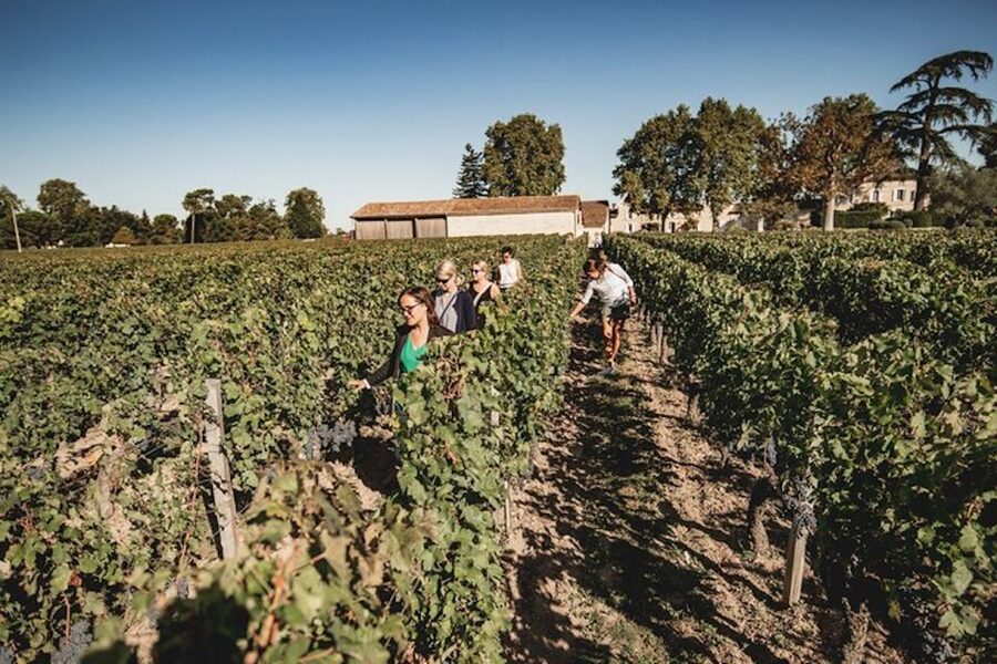 Bordeaux: St-Emilion and Medoc Wine Day Tour with Lunch - Meeting at 26 Rue de la Devise