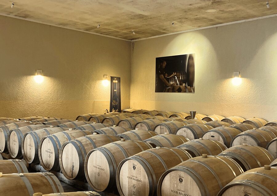 Bordeaux : Unforgettable Saint Emilion Half Day Wine Tour - Walking through the medieval village