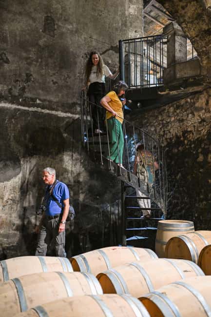 Bordeaux: Vineyards Wine Tasting Half-Day Trip - Blaye and Bourg: a citadel with wine on the side