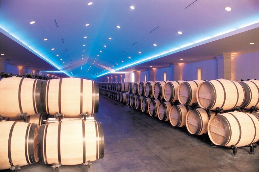 Bordeaux: Vineyards Wine Tasting Half-Day Trip - How much wine do you really taste?