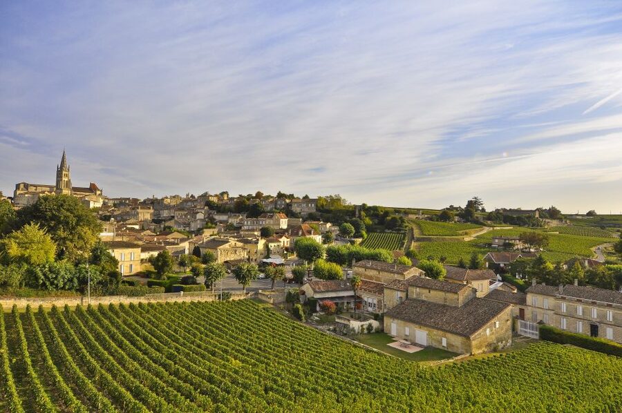 Bordeaux: Vineyards Wine Tasting Half-Day Trip - Is $68 good value?