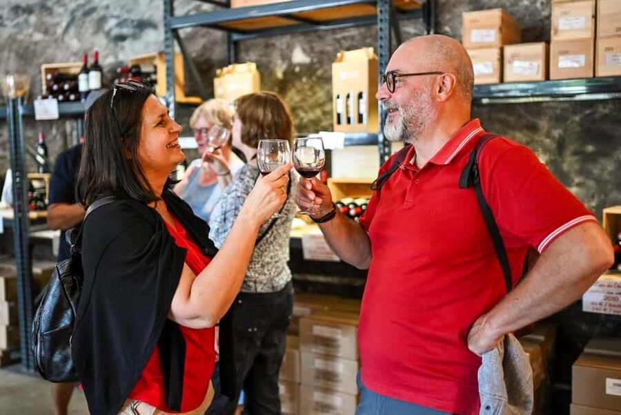 Bordeaux: Vineyards Wine Tasting Half-Day Trip - Who should book this afternoon?