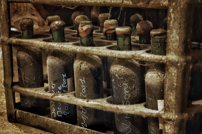 Bordeaux Wine and Trade Museum Admission Ticket with Wine Tasting - Who will enjoy this museum most?