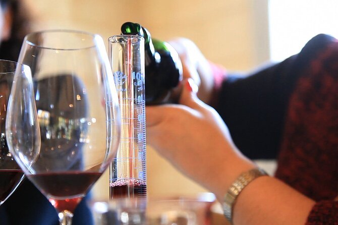 Bordeaux:Wine Masterclass & Blending workshop with appetizer - Bordeaux grapes, with Merlot and Cabernet Sauvignon