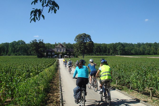 Burgundy Bike Tour with Wine Tasting from Beaune - Old cellars and three wines at Domaine Famille Picard