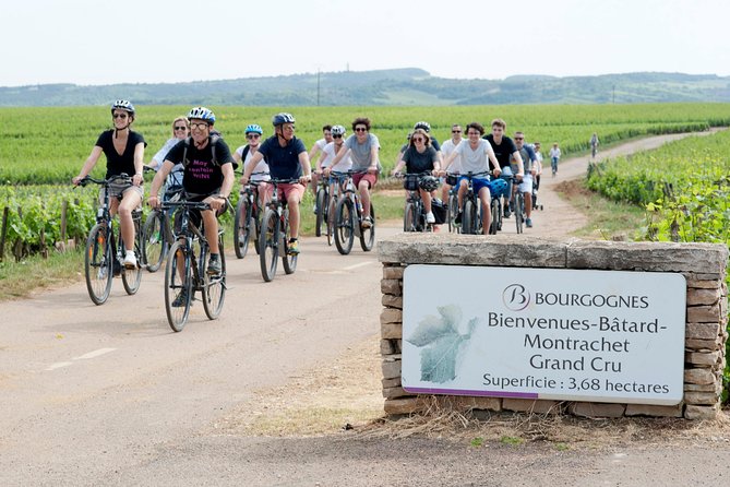 Burgundy Bike Tour with Wine Tasting from Beaune - The afternoon tasting brings you into Burgundy’s famous villages