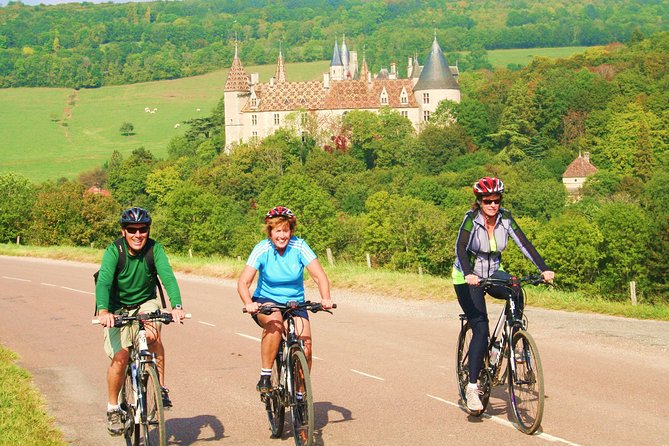 Burgundy Bike Tour with Wine Tasting from Beaune - What the guides add to the experience