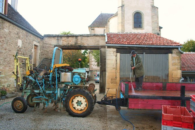 Burgundy Bike Tour with Wine Tasting from Beaune - Is the $253.95 price good value?
