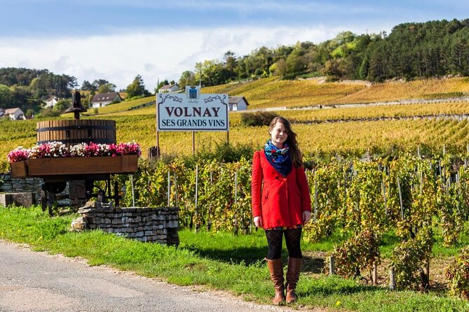Burgundy Grand Crus Route Day Tour - 14 Wines Tastings in Domains - Key points to know before booking