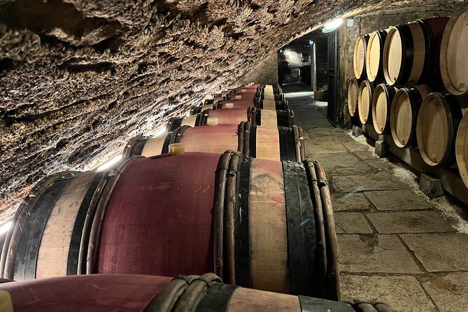 Burgundy Grand Crus Route Day Tour - 14 Wines Tastings in Domains - What this Burgundy wine day is really about