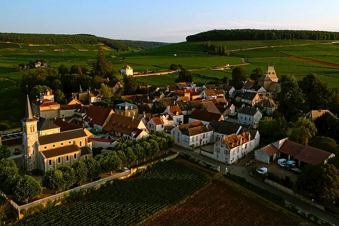 Burgundy Grand Crus Route Day Tour - 14 Wines Tastings in Domains - Tasting near Nuits-Saint-Georges