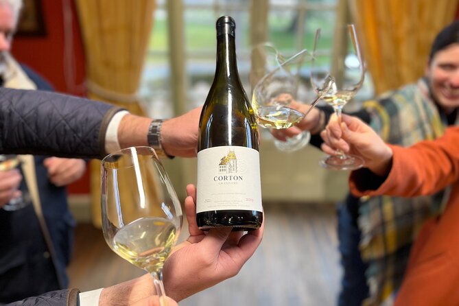Burgundy Grand Crus Route Day Tour - 14 Wines Tastings in Domains - Starting in Beaune with a local domain visit