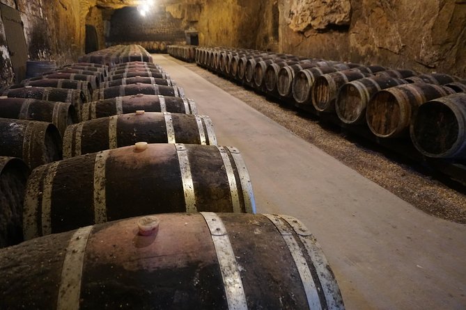 Burgundy Wine Tasting Small-Group Tour in Chablis from Paris - Auxerre Cathedral from the road