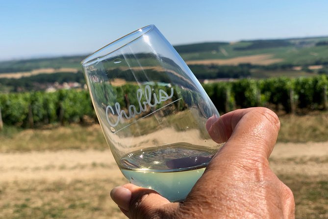 Burgundy Wine Tasting Small-Group Tour in Chablis from Paris - Is the $284.31 price fair?