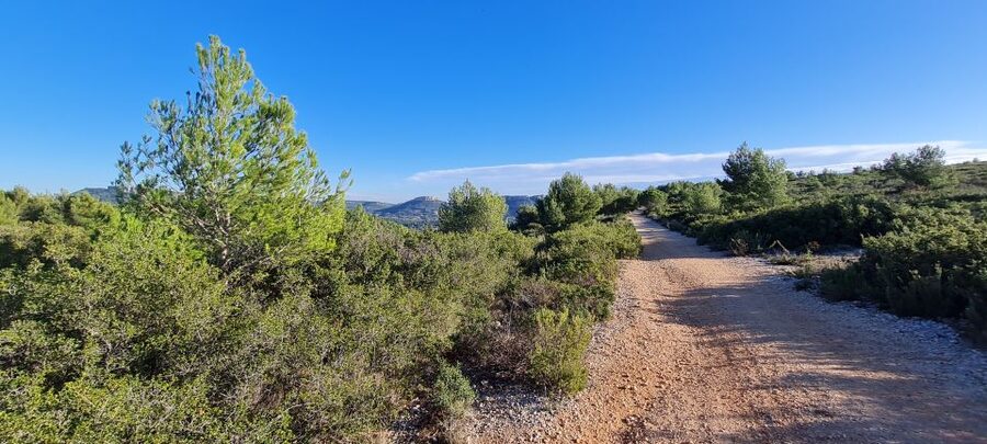 Calanques National Park: E-Mountain Bike with Virtual Guide - What the electric bike really adds