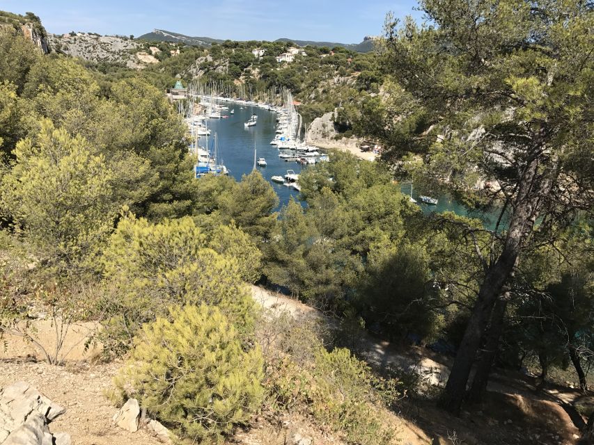 Calanques National Park: E-Mountain Bike with Virtual Guide - Choosing between roads, gravel, and rocky tracks
