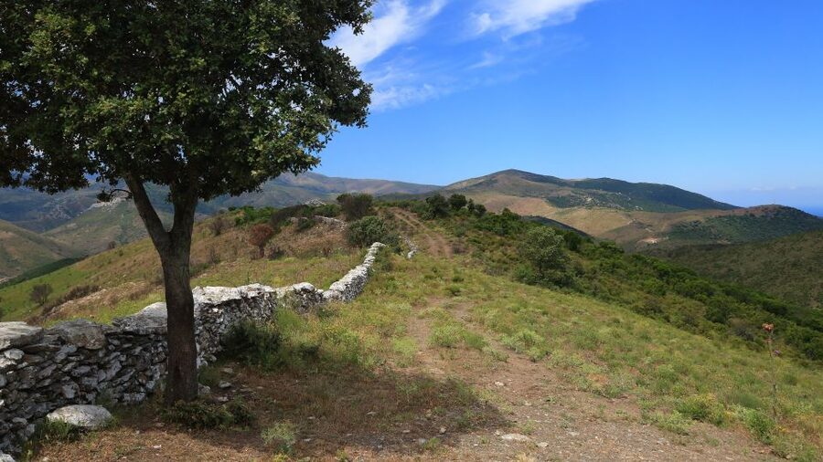 Calvi: Asco Valley 4x4 Day Tour with Guide - Key points to know before you book