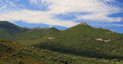 Calvi: Asco Valley 4×4 Day Tour with Guide