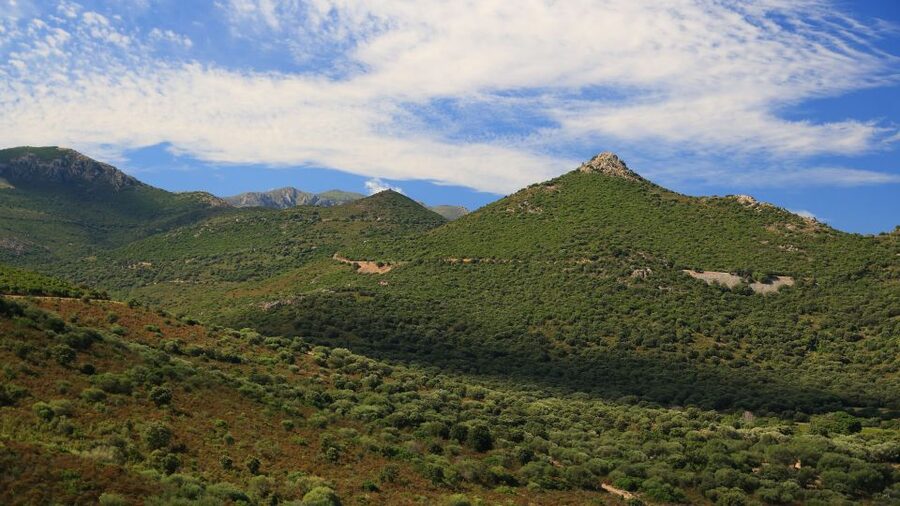Calvi: Asco Valley 4x4 Day Tour with Guide - Is the $123 price good value?