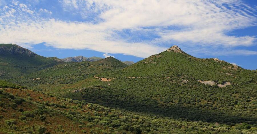 Calvi: Asco Valley 4x4 Day Tour with Guide - Granite gorges and mountain water