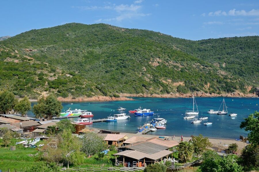 Calvi: Scandola and Girolata 6-Hour Boat Tour - Key points to know before booking