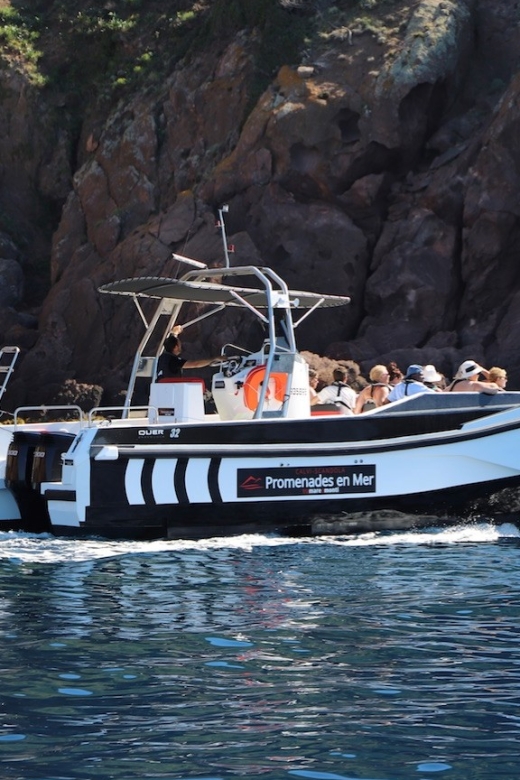 Calvi: Scandola and Girolata 6-Hour Boat Tour - Swimming in clear water near the reserve