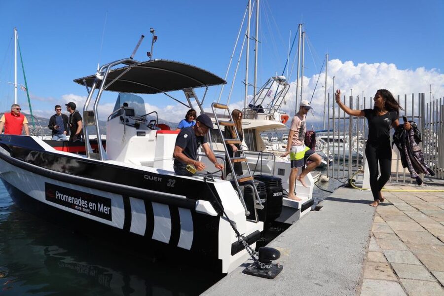 Calvi: Scandola and Piana Guided Boat Tour - What the $135 price includes