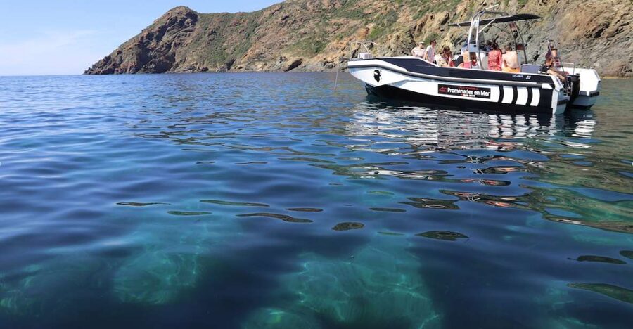 Calvi: Scandola and Piana Guided Boat Tour - How to make the most of your five hours