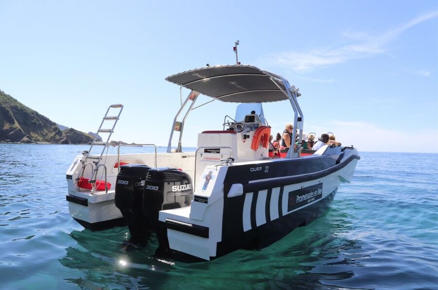 Calvi: Scandola and Piana Guided Boat Tour - Is this Calvi boat trip right for you?